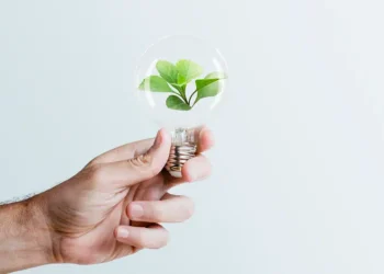 Driving Growth: Sustainable Finance